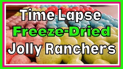 Yummy Treats. . How long to freeze dry jolly ranchers